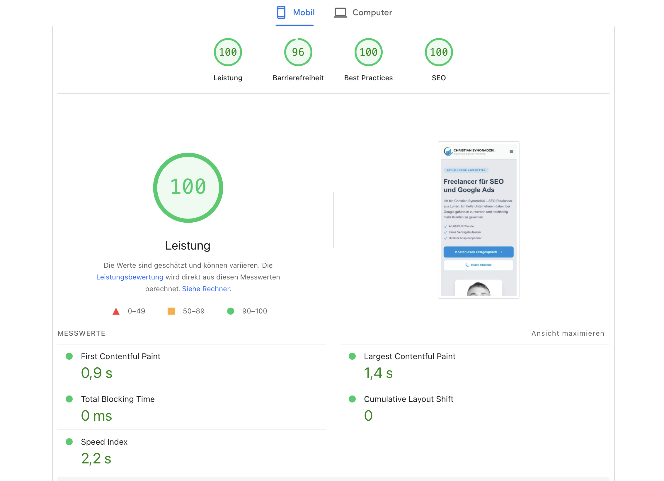 PageSpeed Insights Score synoradzki.de